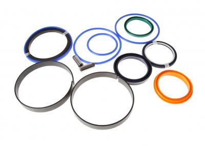 Hydraulic Cylinder Seal Kit | JCB 991/20030
