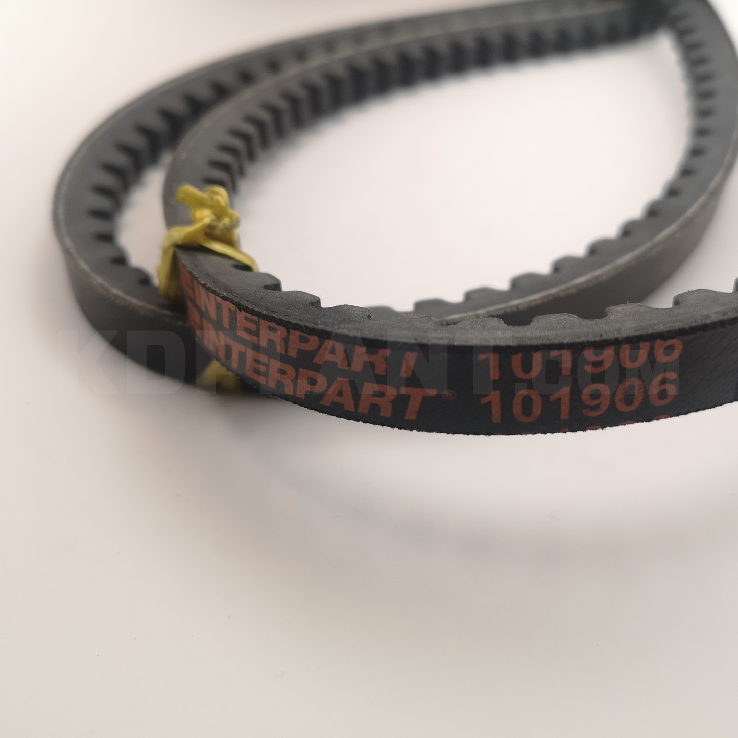 JCB Belt | 02/101906