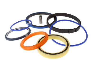 Service Seal Kit | JCB 991/20017