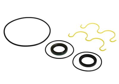 Hydraulic Pump Seal Kit | JCB 920/01013