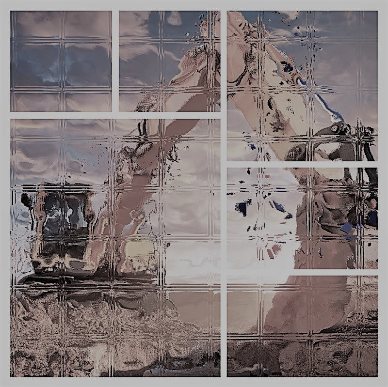 Kabinentür Unteres Glas | JCB 827/80300