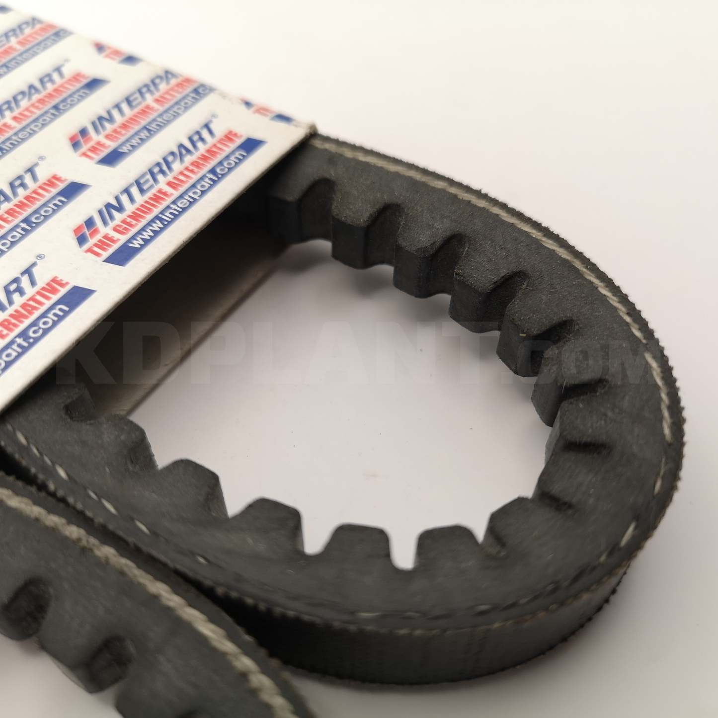 JCB Belt | 02/630447